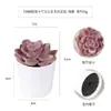Más de 100 Tipos de Combinaciones de Plantas Suculentas Mini de Plástico Simuladas en Maceta, Mini Bonsáis Suculentos Más Vendidos Transfronterizos, Decoración para el Hogar, Adornos Creativos