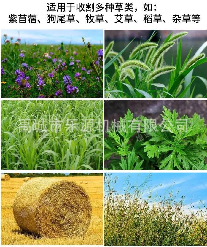 微信截图_20240405113250.png