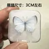 Venta Directa al Por Mayor de Fábrica de Especímenes Reales de Mariposas con Alas Extendidas, Diversos Insectos y Escarabajos, Accesorios para Fotos, Educación Científica, Especímenes Naturales