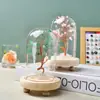 Adornos de Árbol de Cristal Natural Árbol de la Fortuna de Citrino Botella de los Deseos Cubierta de Vidrio Árbol de la Vida Artesanías de Decoración para el Hogar