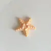 Nuevos Accesorios para Joyería DIY de Estrella de Mar Pegamento Cremoso Accesorios para Fundas de Teléfono Celular Zapatos con Agujeros Peine Material Venta al Por Mayor