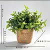 Planta Artificial de Aloe Vera e Planta Verde em Vaso de Cimento para Decoração de Mesa de Centro de Sala de Estar Interna de Casa, Folha Verde para Varanda
