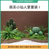 Plantas Artificiales Estilo Nórdico, Cactus, Bolas Pequeñas de Cactus, Decoración para Ventanas, Paisajismo con Plantas Verdes y Adornos de Paisaje