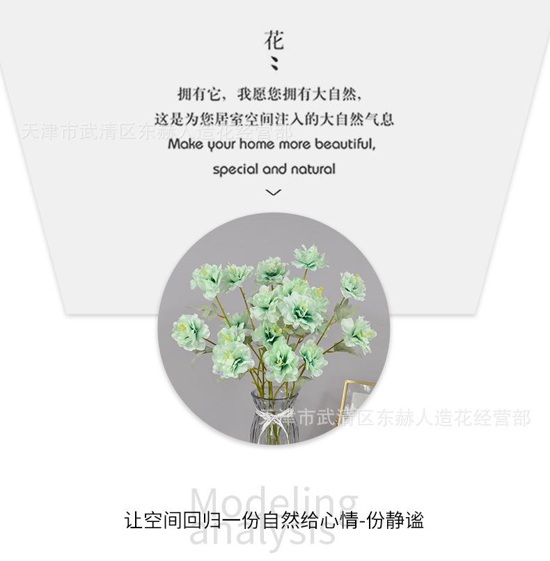 详情_06.png