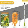 El artefacto para recoger fruta se puede conectar al poste largo telescópico para recoger níspero, caqui, mirto, manzana, longan, azufaifa, albaricoque, nuez, fruta