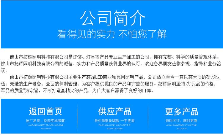 8公司简介