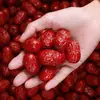 Dátiles Rojos de Xinjiang Dátiles Ceniza Venta al por Mayor a Granel Dátiles Rojos Secos Venta al por Mayor Caja Completa Snacks Materia Prima para Infusiones de Té y Gachas Suministro en Caja Completa
