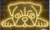 Comercio Exterior Transfronterizo Luz de Neón Amazon Temu Fábrica Cabello Lacio Animal Luna Gato Luz de Neón Placa de Luz Decorativa