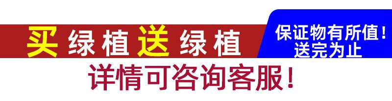 买就送