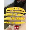 Cinturón Amarillo Dopamine Niche Estilo Y2K Americano para Mujer Alta Gama Estilo Milenial con Faldas Jeans Accesorios de Cinturón