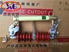 Fusible de Desconexión Estándar Nacional Fuyi 10KV HRW11-10/200A Tubo Tongxiang