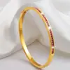 Pulseira Versátil de Moda Popular Transfronteiriça para Mulheres, Luxo Leve, Sensação de Alto Padrão, Estilo Europeu e Americano, Não Desbota, Exquisita Pulseira Céu Estrelado com Zircônia