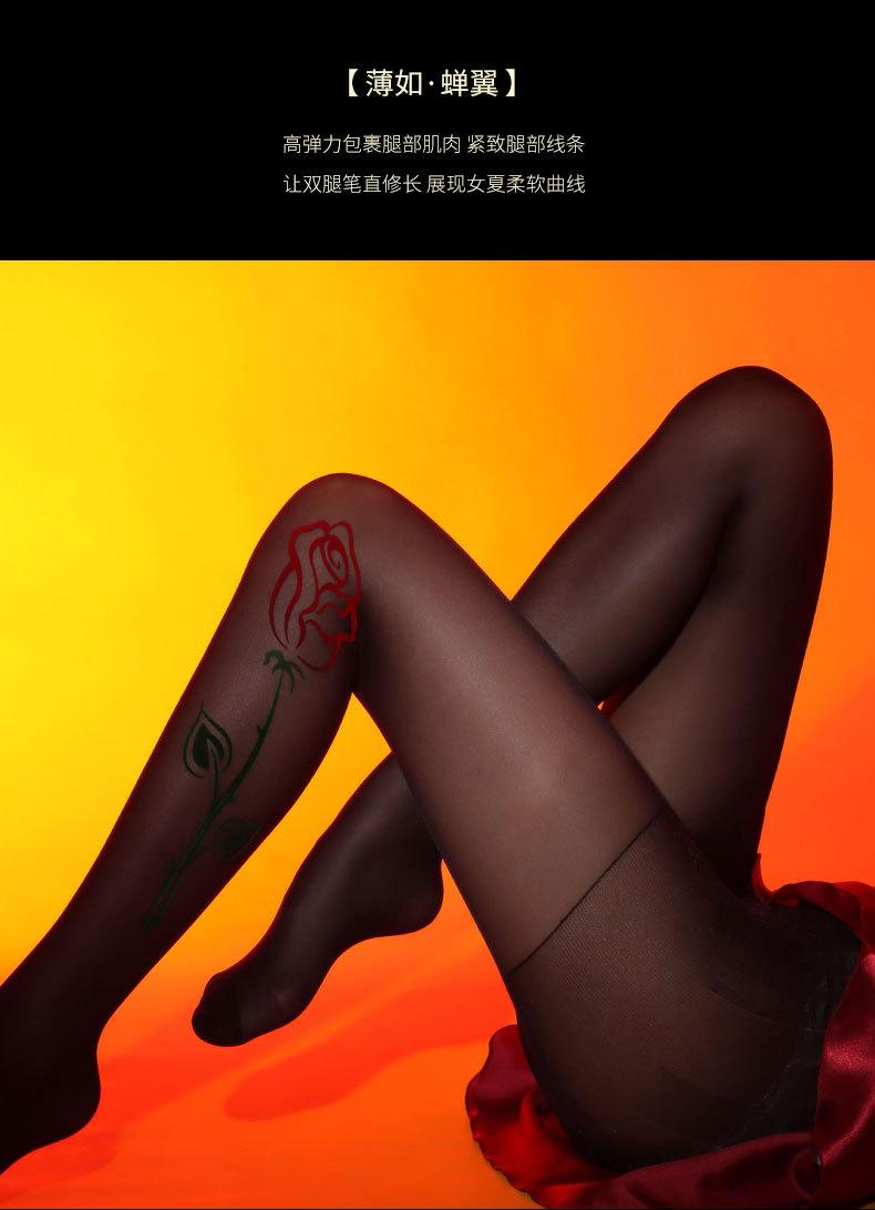 玫瑰_02.jpg?x-oss-process=image/format,png