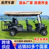 Carro de golf eléctrico para zonas escénicas, hoteles, B&Bs, aeropuertos, transporte de pasajeros y recepción turística