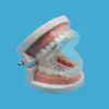 Productos de Comercio Exterior Dientes de Molienda de Doble Cara Aparatos Ortodónticos Termoplástico Eva Aparatos Ortodónticos Eva Juego de Aparatos Ortodónticos Eva Caja de Juego para Molienda de Dientes