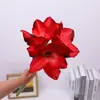 Flor Artificial Zhu Dinghong Flor de Seda Decoración de Sala de Estar Arte Floral Clivia Flor Falsa Lugar de Actividad Accesorios de Flores Suaves para Disparos