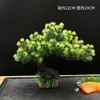 Decoração de Apresentação de Pratos de Restaurante de Hotel com Flores e Plantas, Decoração de Bandeja de Sashimi e Frutos do Mar, Guarnição de Sushi Japonês, Enfeites Criativos