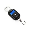 WeiHeng Weiheng WH-A21 mini portátil plástico portátil eletrônico balança de pesca 25kg fábrica atacado