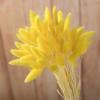 Liquidação E-commerce Transfronteiriço Comércio Exterior Atacado Flores Secas Coloridas Tingidas Capim Rabo de Coelho Arranjo de Flores para Vaso de Pequeno Buquê DIY Combinação