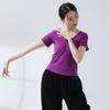 Ropa de Práctica de Baile para Mujeres, Tops de Nuevo Estilo, Danza Clásica, Examen de Arte para Adultos, Ropa de Yoga para Moldear el Cuerpo, Ropa Diaria de Manga Corta para Bailarines