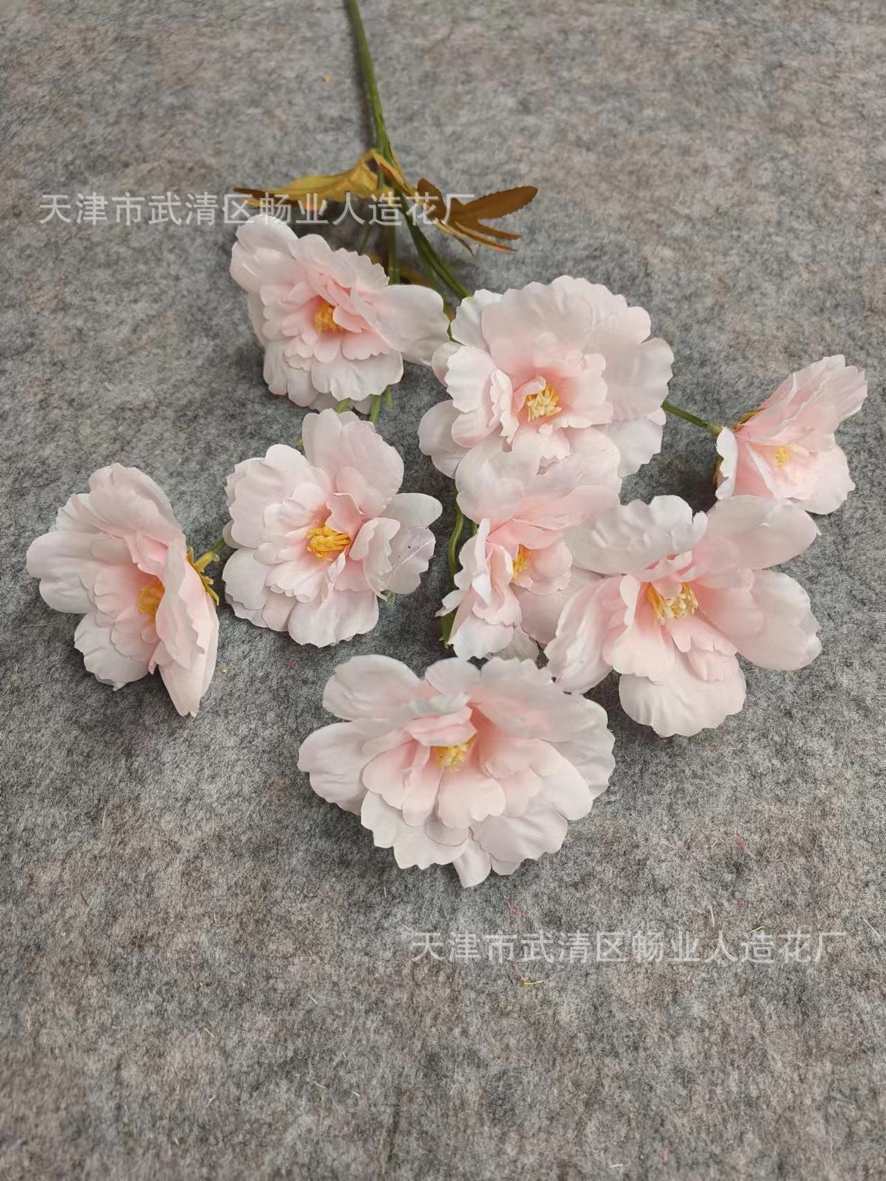 d4727a4ed330b8e1c446cd47307f9d