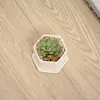 Creativo simple carnoso mini cerámica pequeña maceta maceta carne decoración de escritorio pequeña hexagonal maceta venta al por mayor