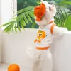 Nova Colete de Animal de Estimação Primavera e Verão com Estampa de Frutas, Com Capuz, Respirável, Proteção Solar Roupa de Duas Pernas para Gatos e Cachorros