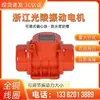 Motor de Vibración Industrial Guangling MV de Zhejiang Motor de Vibración Motor de Vibración Alimentador Vibratorio Motor de Vibración 380V Estándar Nacional