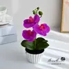 Três Flores e Duas Folhas Phalaenopsis Pequeno Bonsai em Vaso Criativo Moda Decoração de Casa Fotografia Flores Artificiais Enfeites de Flores para Casamento