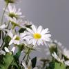 Margaritas simuladas, Flores falsas, Ramos simulados de crisantemos, 9 crisantemos silvestres coreanos, Decoración del hogar, Flores falsas, Flores de Qingming
