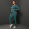 Conjunto Europeu e Americano de Yoga Sem Costura Pêssego Justo Conjunto de Roupa de Yoga Esporte Corrida Fitness Duas Peças Feminino