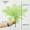 Simulação planta verde folha de samambaia rim folha persa maço de folhas projeto plantas verdes com grama paisagismo externo plantas decorativas atacado