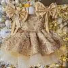 Vestido de Lujo para Bebé Niña de un Año, Vestido de Princesa para Cumpleaños de Niña, Vestido Rosa de Dama de Honor, Anfitrión de Desfile de Moda, Nicho y Elegante