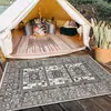 Alfombra para Sala de Estar de Imitación Cachemir Persa para Exteriores e Interiores, Resistente a Manchas, Alfombra Refrigerante de Cobertura Total para Sala de Estar del Hogar