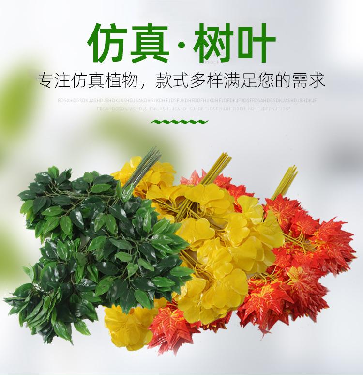 树叶详情_01.jpg