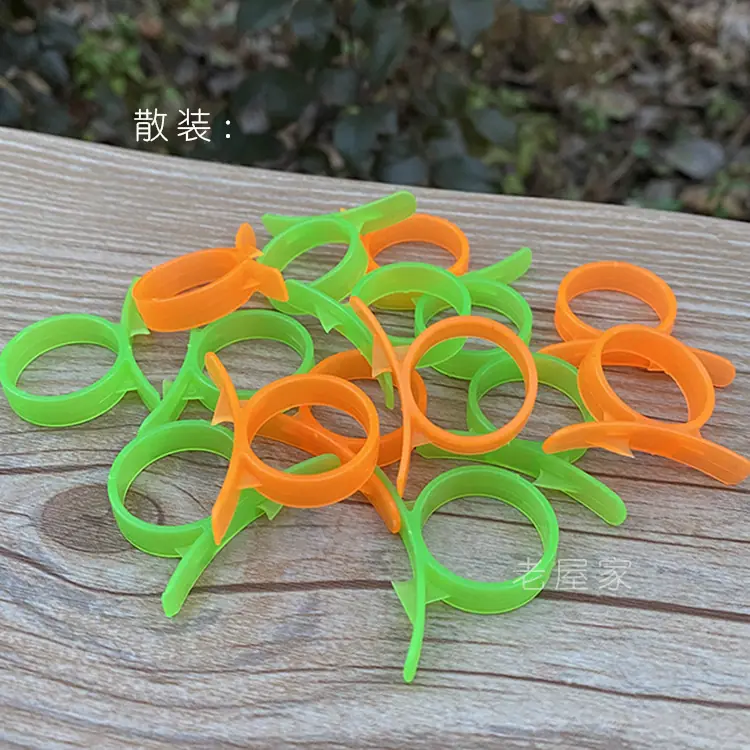 老屋家散装.jpg