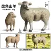 Modelo animal sólido de simulação cognitiva para crianças, antílope, cabra, ovelha, pastagem, aves de capoeira, brinquedos, ornamentos de mão, conjunto