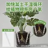 Tubo de Ventilación para Tierra de Maceta, Tubo Transpirable, Tubo de Ventilación, Aireación de Tierra de Maceta, Tubo de Suelo Inferior Extendido para Macetas, Tubo de Fertilización para Flores