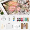 Pebeo Love Pintura para Vidrio Arte Estudiante Pintado a Mano DIY Set Especial Secado Natural Cerámica Vidrio Pintura
