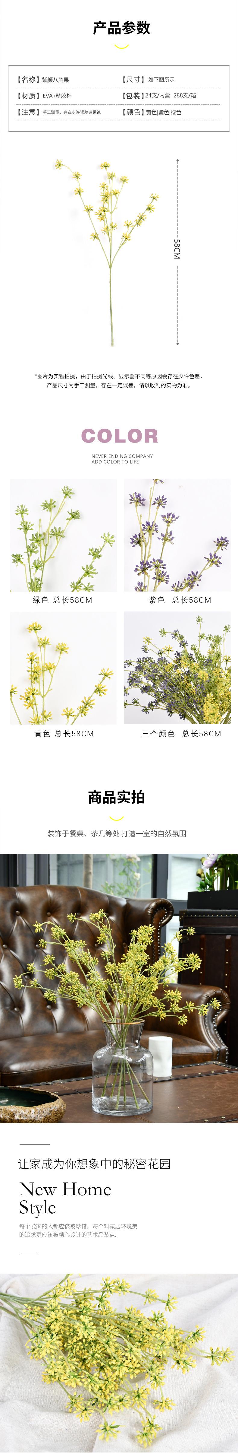 紫颜八角果2