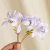 Accesorios para el Cabello de Año Nuevo Borla Lámpara de Palacio Cabello Pasador de Cabello Pasador de Cabello Luminoso de Alta Calidad Tocados Antiguos para Mujer Accesorios Combinables Diarios Hanfu