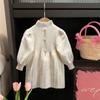 Vestido de Otoño para Niña 2023 Nuevo Vestido Elegante Popular en Internet Vestido de Princesa para Bebé Vestido de Lana Tejido para Niña