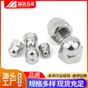 Tuerca Tapa de Acero Inoxidable Tapa Decorativa Integrada con Tuerca Tapa Hexagonal Cabeza de Bola Cabeza Redonda Tuerca Tapa 304