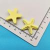 Cor de Emulação de Rosto Brilhante Cinco Pontas Estrela Estrela do Mar Acessórios de Resina Cola de Creme DIY para Acessórios de Capa de Celular Grampo de Cabelo Adesivos de Geladeira