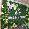 Valla de Césped Ignífuga Retardante de Llama Muro de Plantas de Simulación Muro de Plantas Verdes Valla de Muro Decorativo de Jardín Césped de Eucalipto Milan