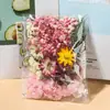 Flores Secas Naturais Flores Preservadas Flores Artificiais Adesivos de Leque Cartões de Cumprimentos com Flores Secas Porta-Retratos Pacote de Materiais DIY Feito à Mão