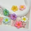 Nuevos Accesorios de Resina de Pegamento de Crema DIY de Plumeria Colorida para Zuecos, Pinzas para el Cabello, Aretes y Decoraciones de Fundas de Teléfono