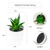 Más de 100 Tipos de Combinaciones de Plantas Suculentas Mini de Plástico Simuladas en Maceta, Mini Bonsáis Suculentos Más Vendidos Transfronterizos, Decoración para el Hogar, Adornos Creativos