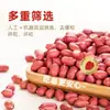 Cacahuete Rojo Mayoreo 400g Cuatro Rojo Cinco Rojo Sopa Materia Prima Grano Grano Grueso Fábrica OEM