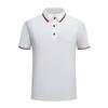 Primavera y verano 2024 2598 perlas de seda de hielo 170g manga corta cuello de sol camisa tipo polo informal de negocios deportivo moda y comodidad